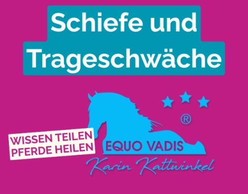 Karin Kattwinkel Kurs Schiefe Trageschwäche Pferd